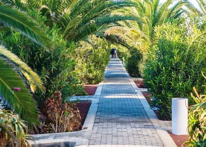 酒店 Hl里奥白色海滩酒店